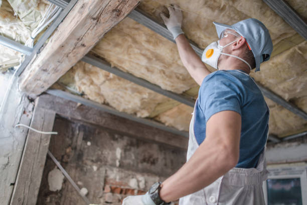 Best Geographic-Specific Insulation Services in Edgewood, KY