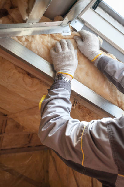 Best Insulation Maintenance and Repair in Edgewood, KY